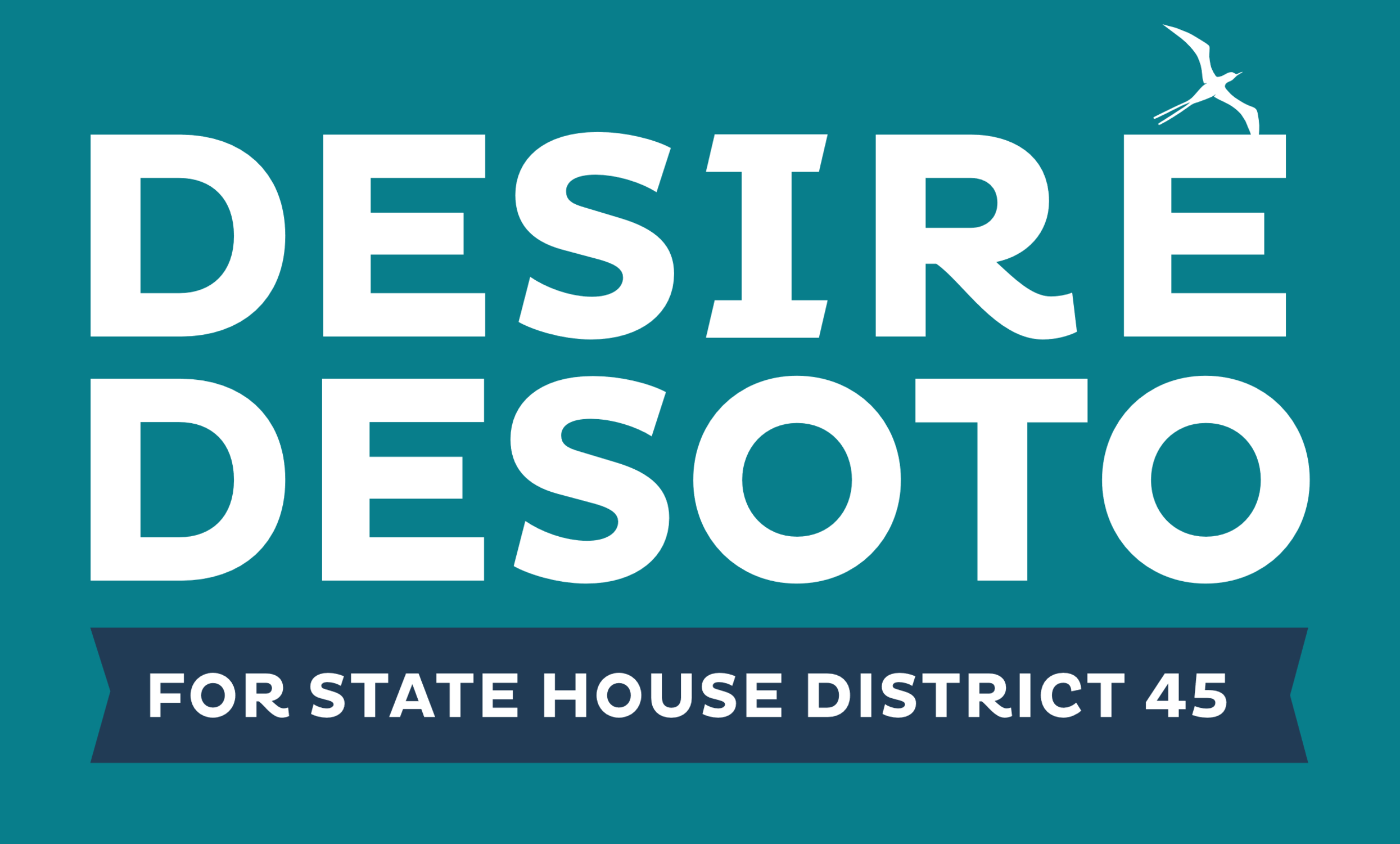Desire DeSoto for State House District 45