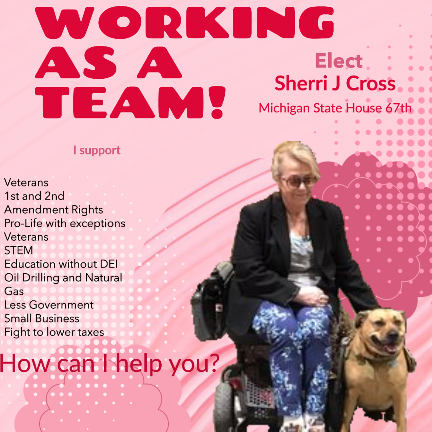 Sherri J Cross for Michigan State House 67th