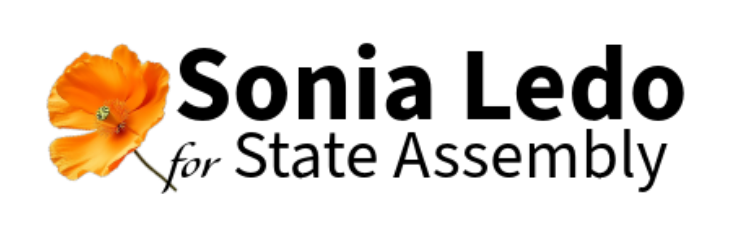 Sonia Ledo for State Assembly District 15