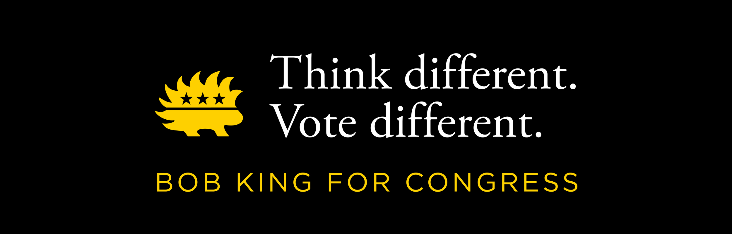 Think different. Vote different. Bob King for Congress