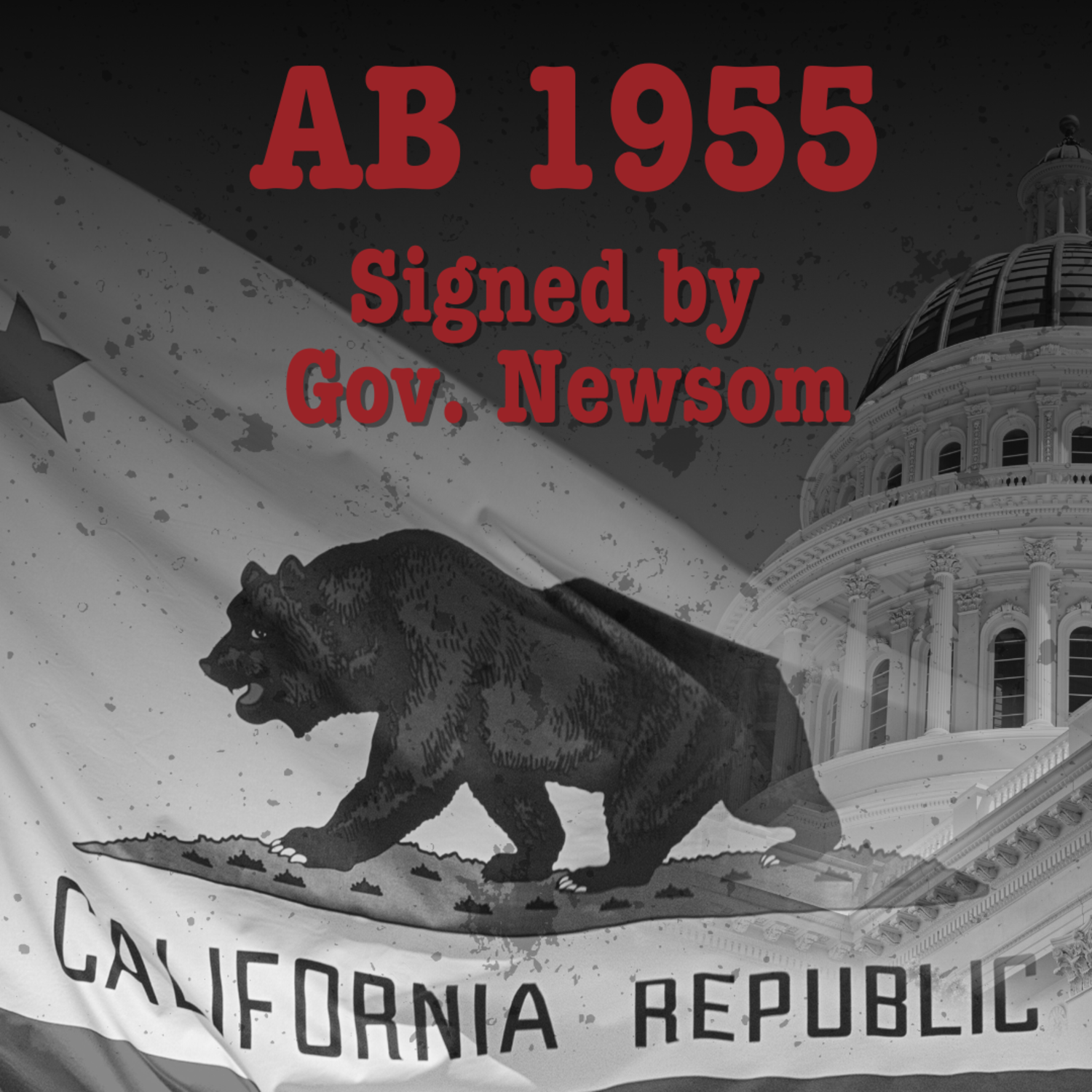 AB1955 is bad for kids and families