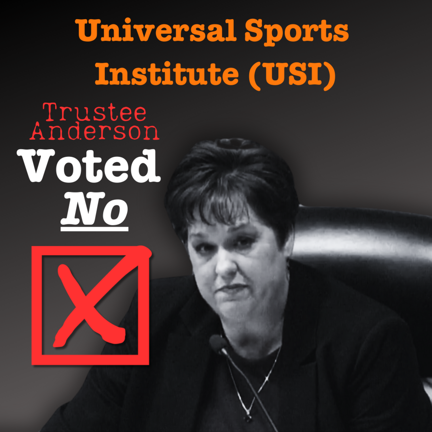 Incumbent Marilyn Anderson voted NO on the Universal Sports Institute (USI)