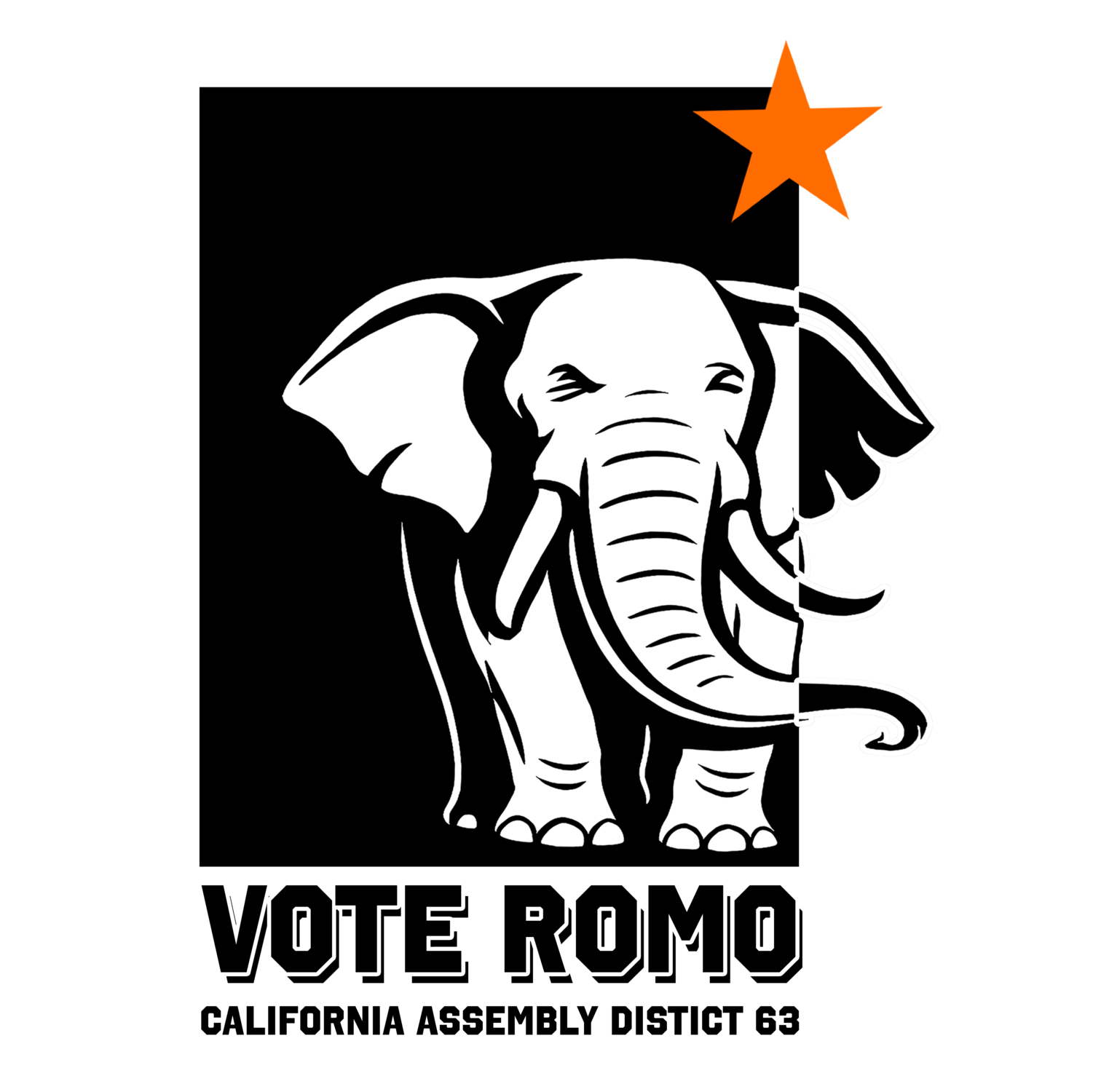 Small government, big results ROMO for Assembly District 63