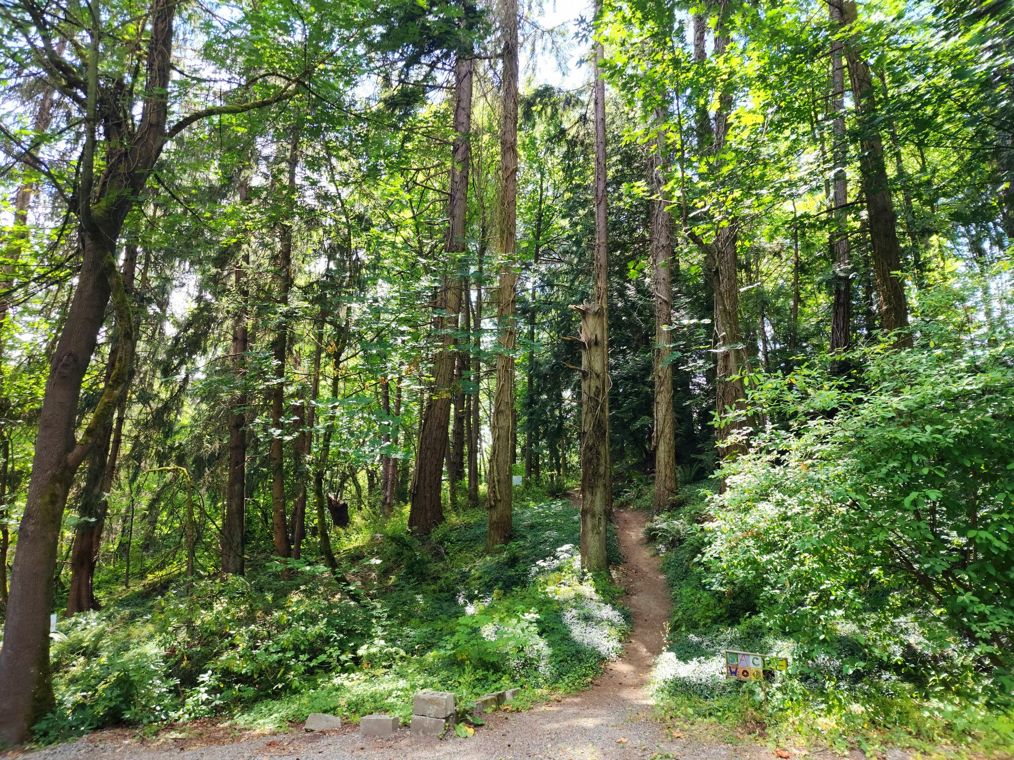 5 Acre Woods Train into Park