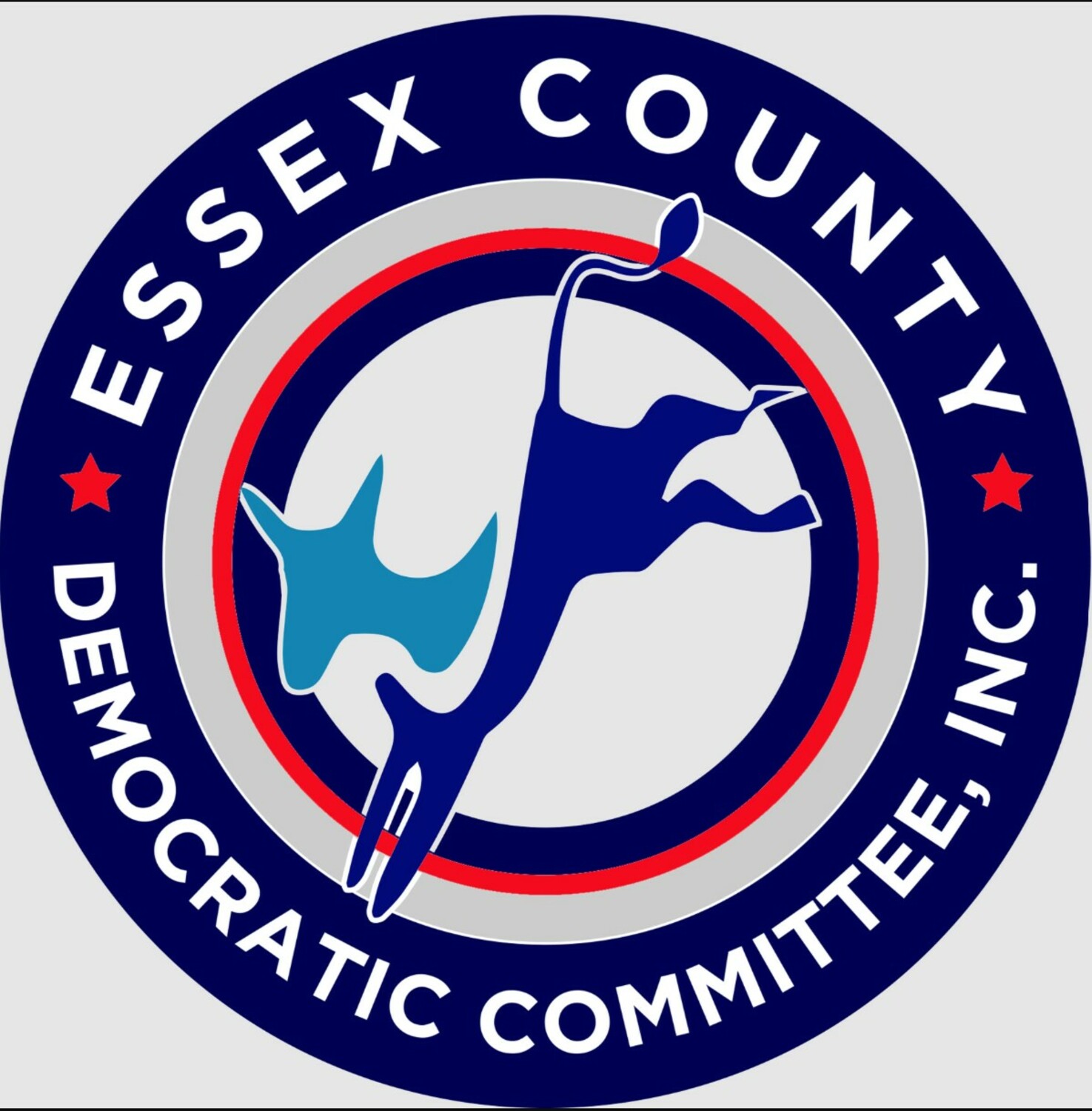Essex County Democrats Endorse Christine McGrath