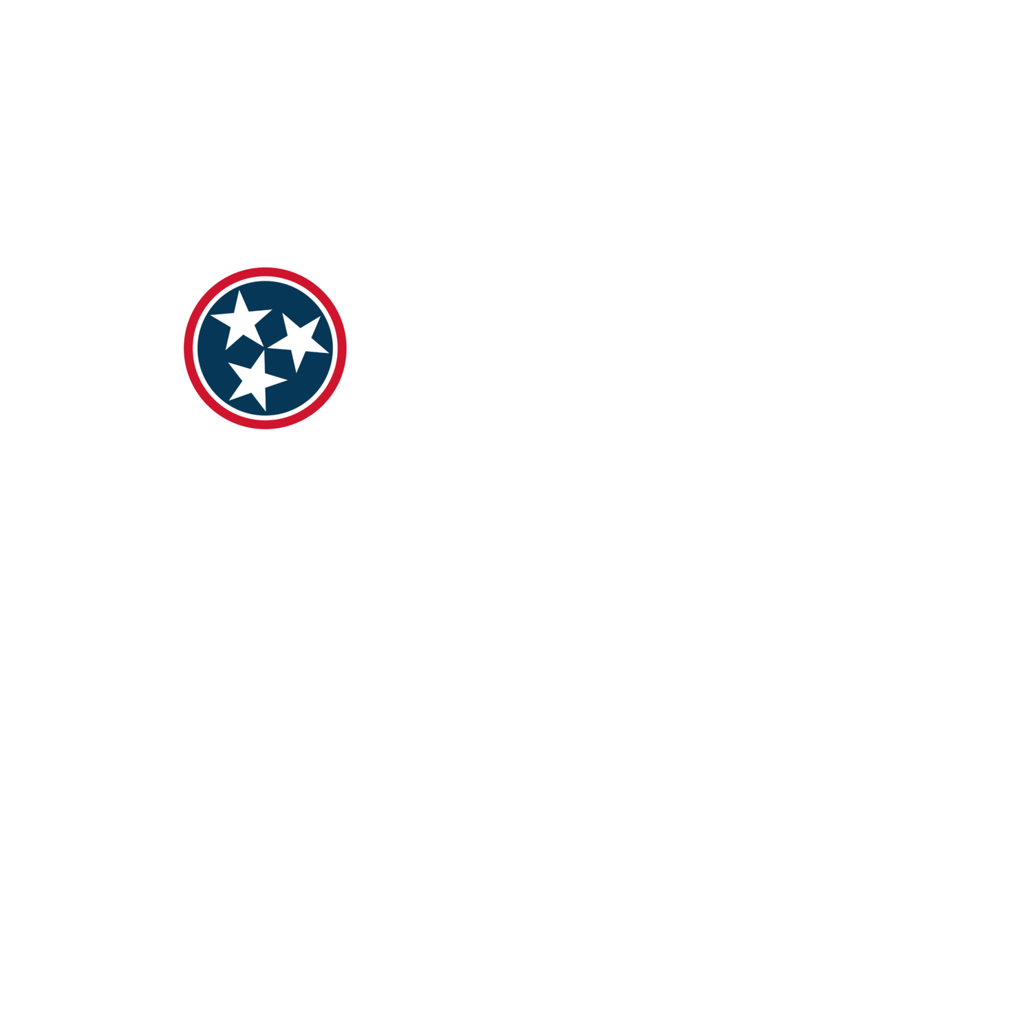 Louise Povlin for Mayor, Town of Farragut