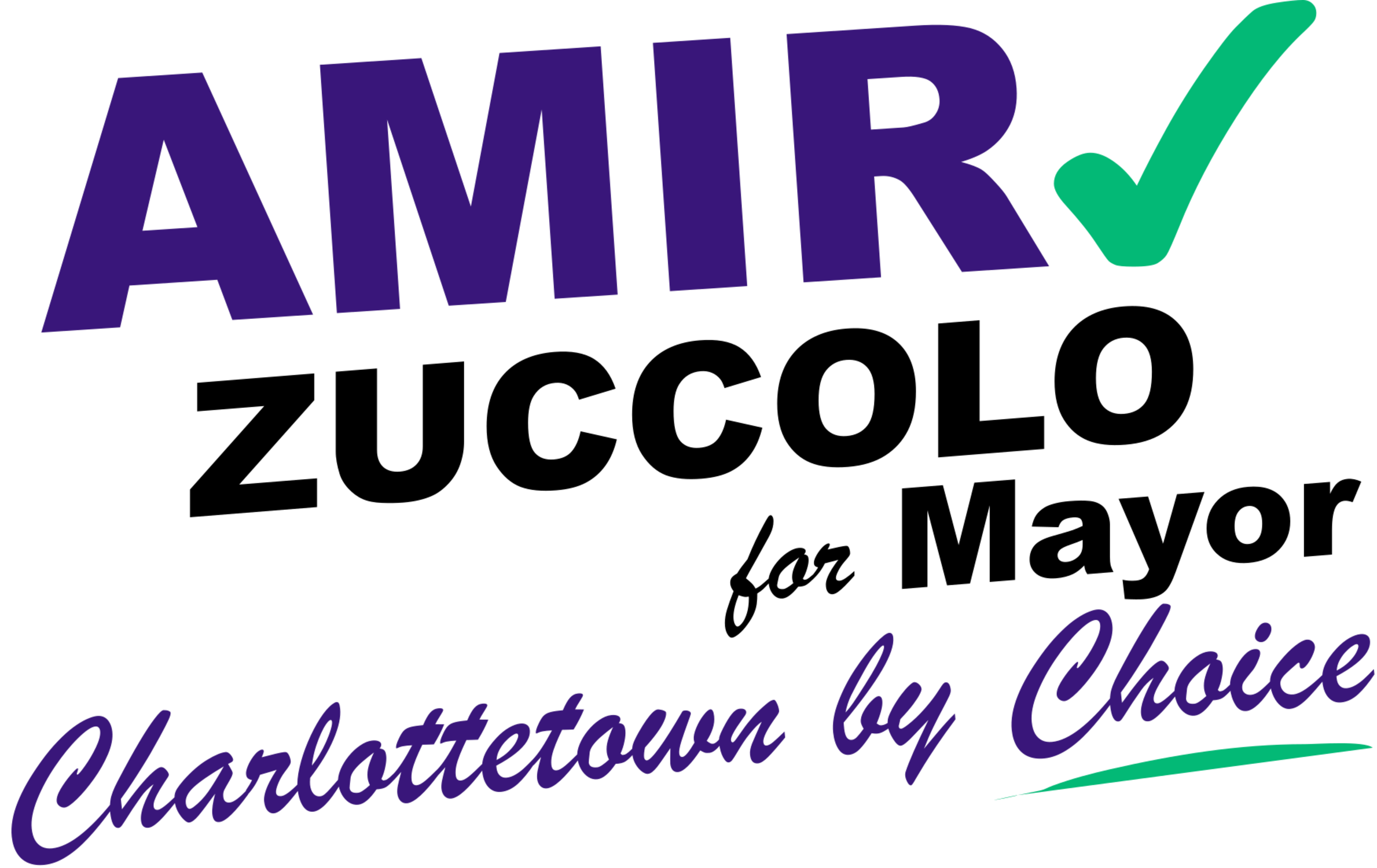Amir Zuccolo for Mayor